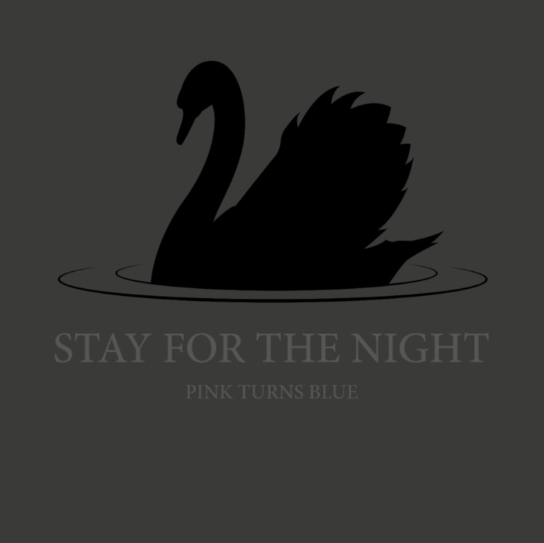 Pink Turns Blue – Stay For The Night